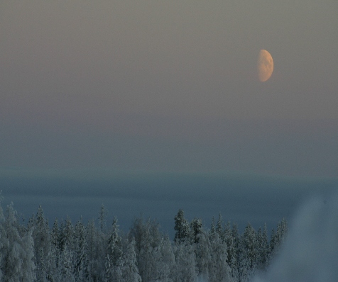 sininen hetki